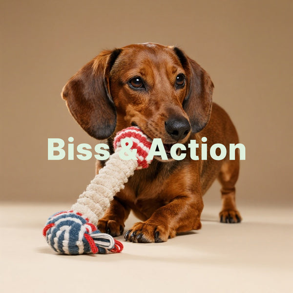 Biss Action Collection