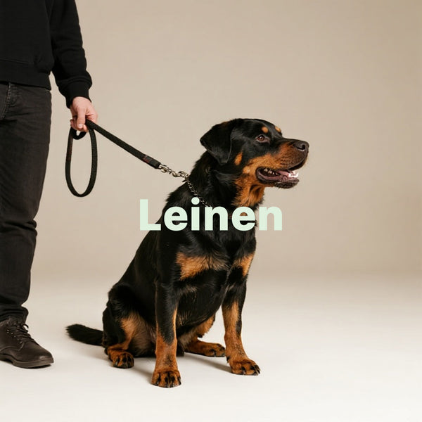 Hundeleinen Collection