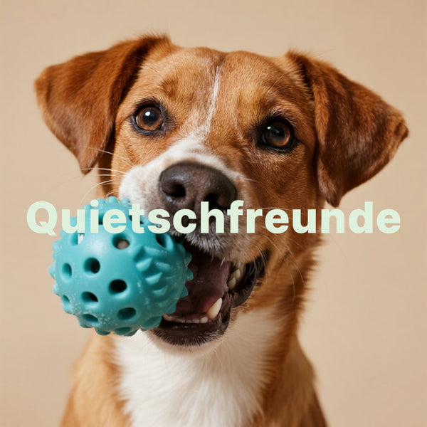 Quietschfreunde Collection