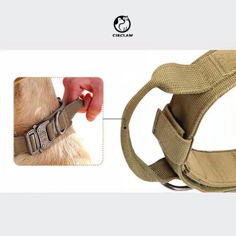 Anti - Zug Hundehalsband