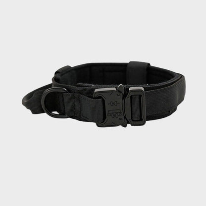 Anti - Zug Hundehalsband