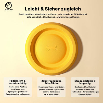 Hundespielzeug Frisbee