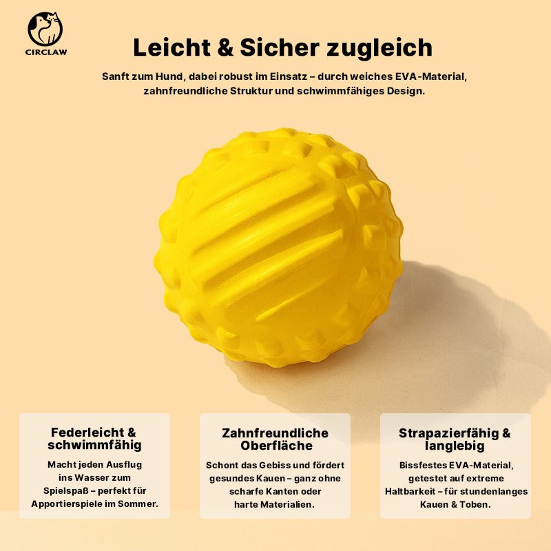 Hunde Spielzeig