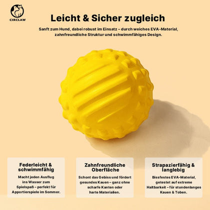 Hundespielzeug Ball