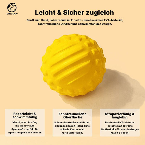 Hundespielzeug Ball