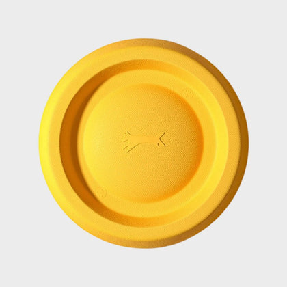 Hundespielzeug Frisbee
