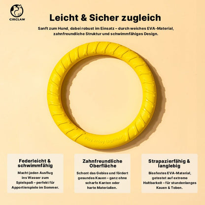 Hunde Spielzeig