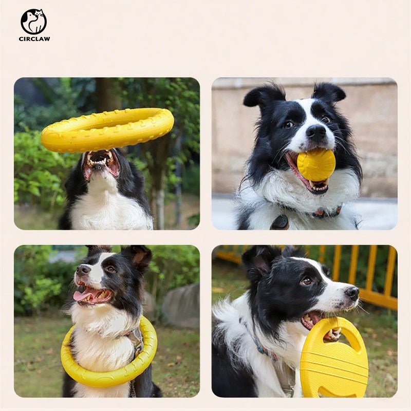 Hunde Spielzeig