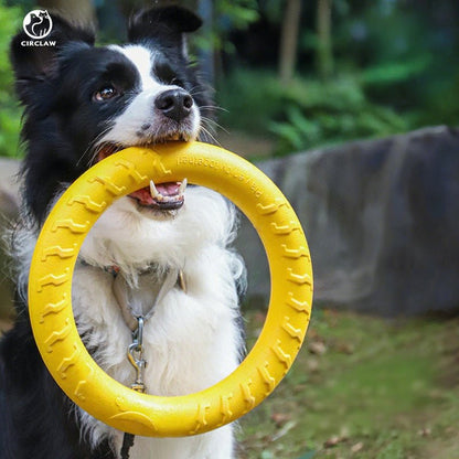 Hunde Spielzeug
