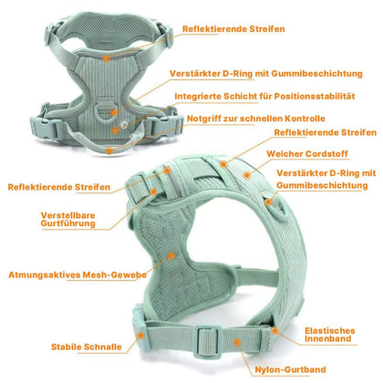 dog harness