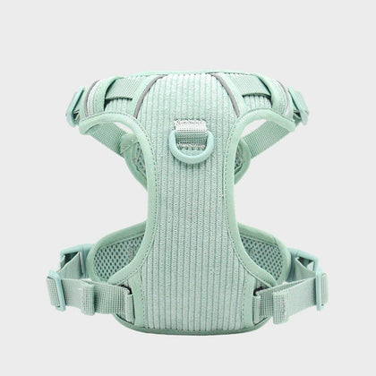 dog harness