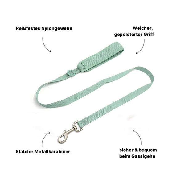 Hochwertige Nylon Hundeleine Mintgrün