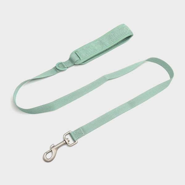 Hochwertige Nylon Hundeleine Mintgrün
