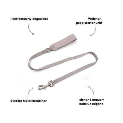 dog leash