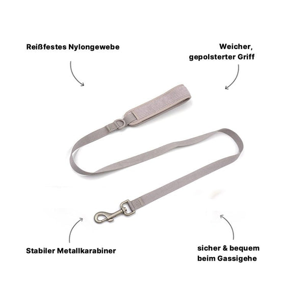 Hochwertige Nylon Hundeleine Grau