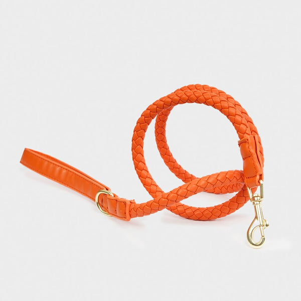 Eco-Leder Hundeleine Orange