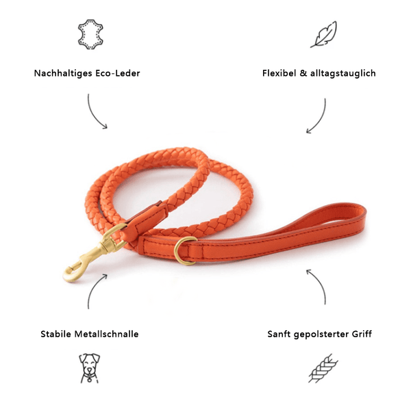 Eco-Leder Hundeleine Orange