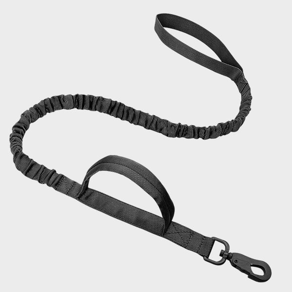 Profi-Flex Nylon Hundeleine  Schwarz